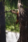 IMG 0890-Edit